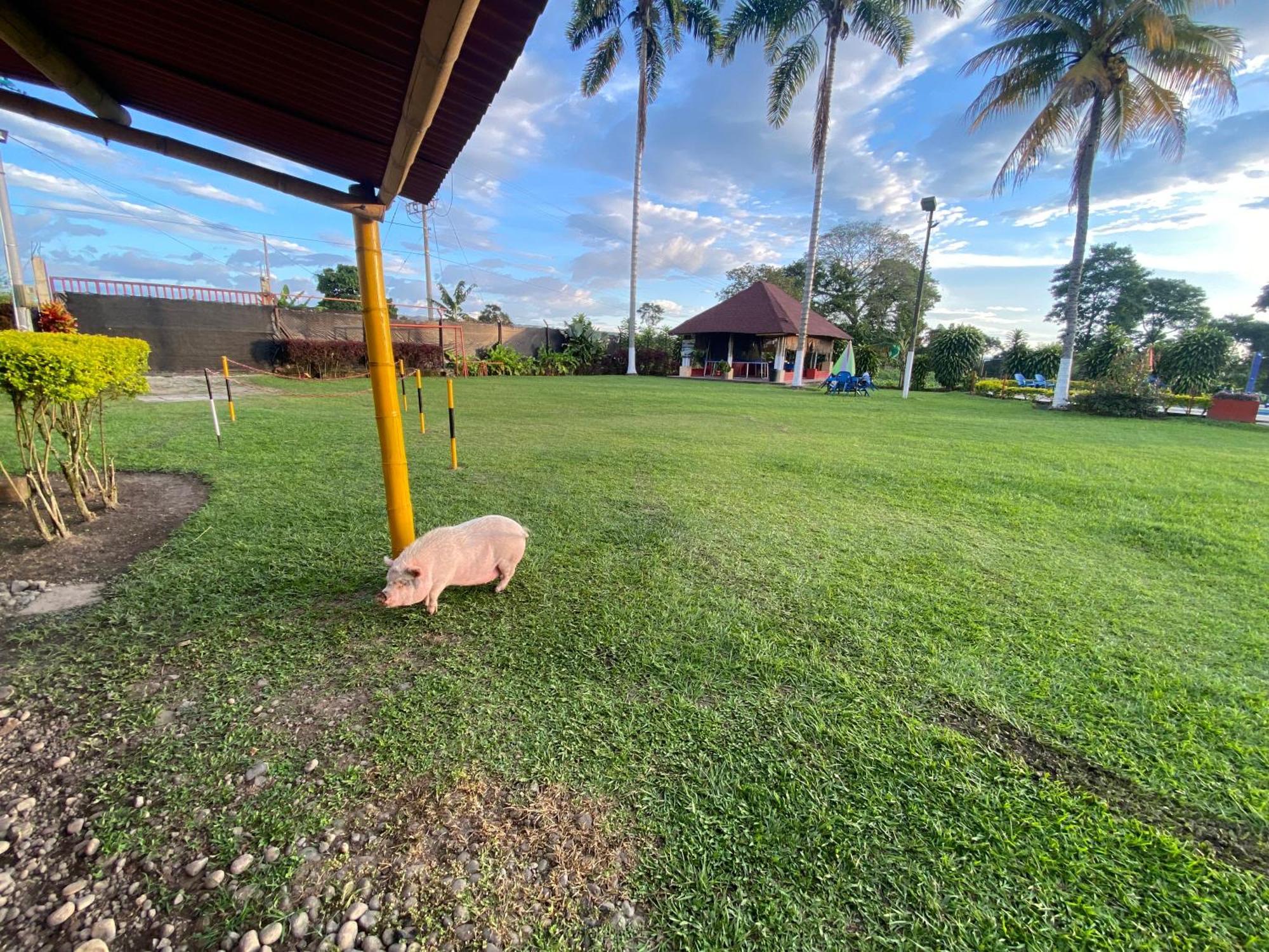 Finca Hotel Los Cocos مونتينيغرو المظهر الخارجي الصورة
