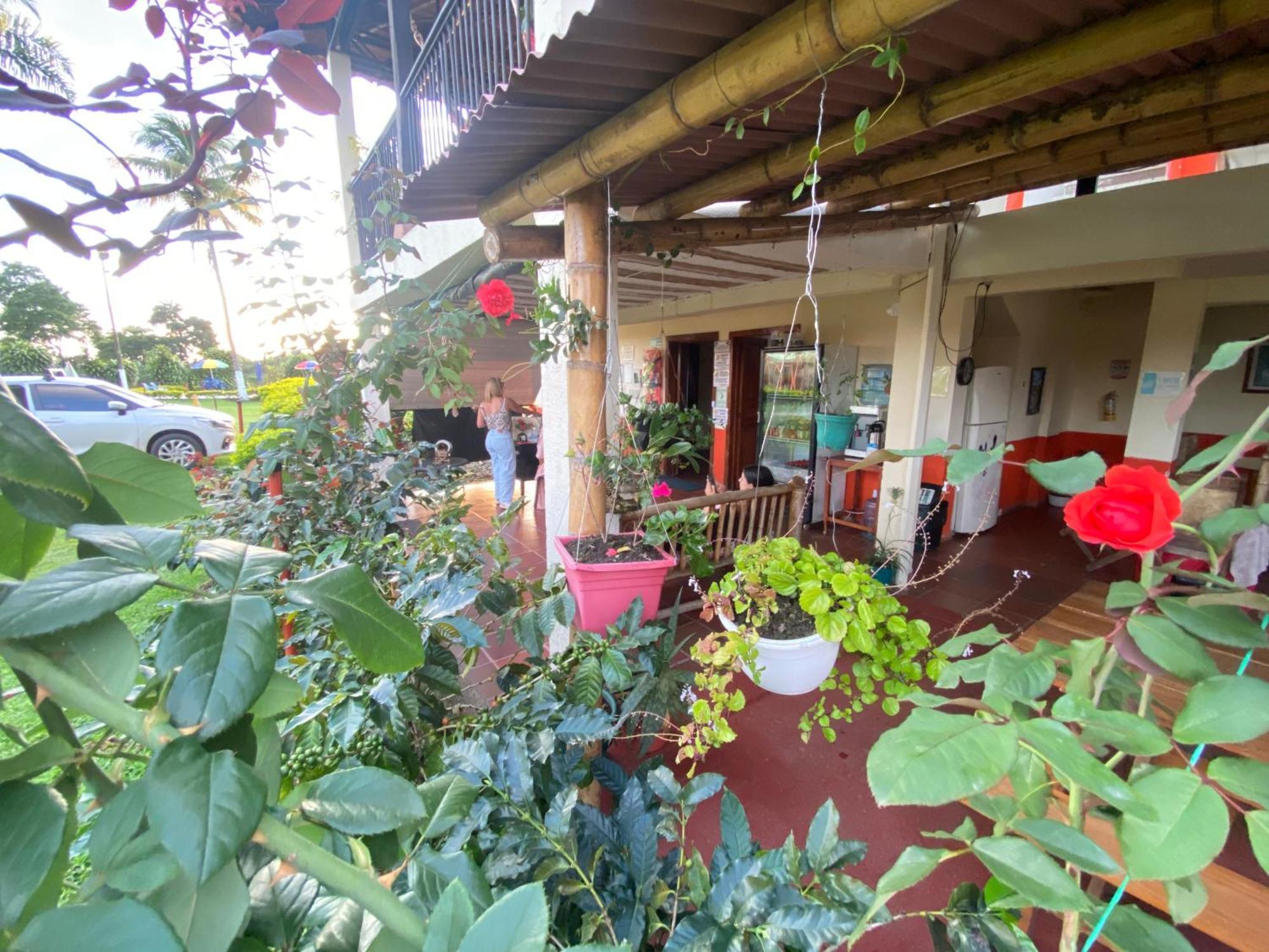 Finca Hotel Los Cocos مونتينيغرو المظهر الخارجي الصورة